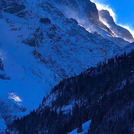 Romantisches Plaetzchen In Der Natur Grindelwald Eksteriør bilde