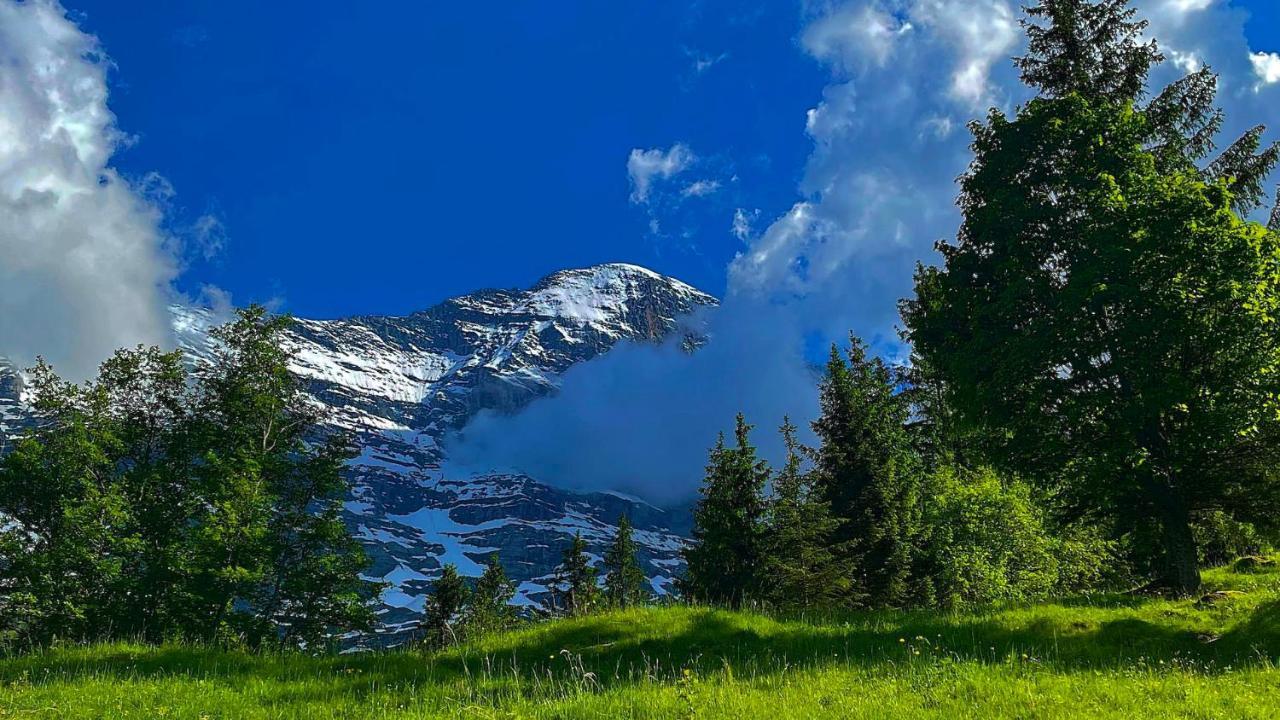 Romantisches Plaetzchen In Der Natur Grindelwald Eksteriør bilde