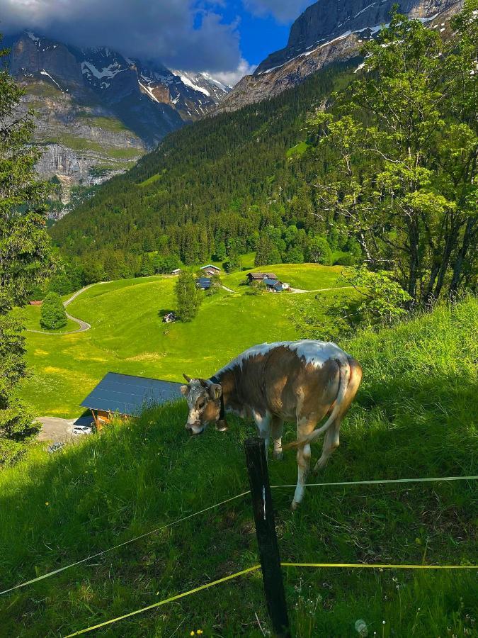 Romantisches Plaetzchen In Der Natur Grindelwald Eksteriør bilde