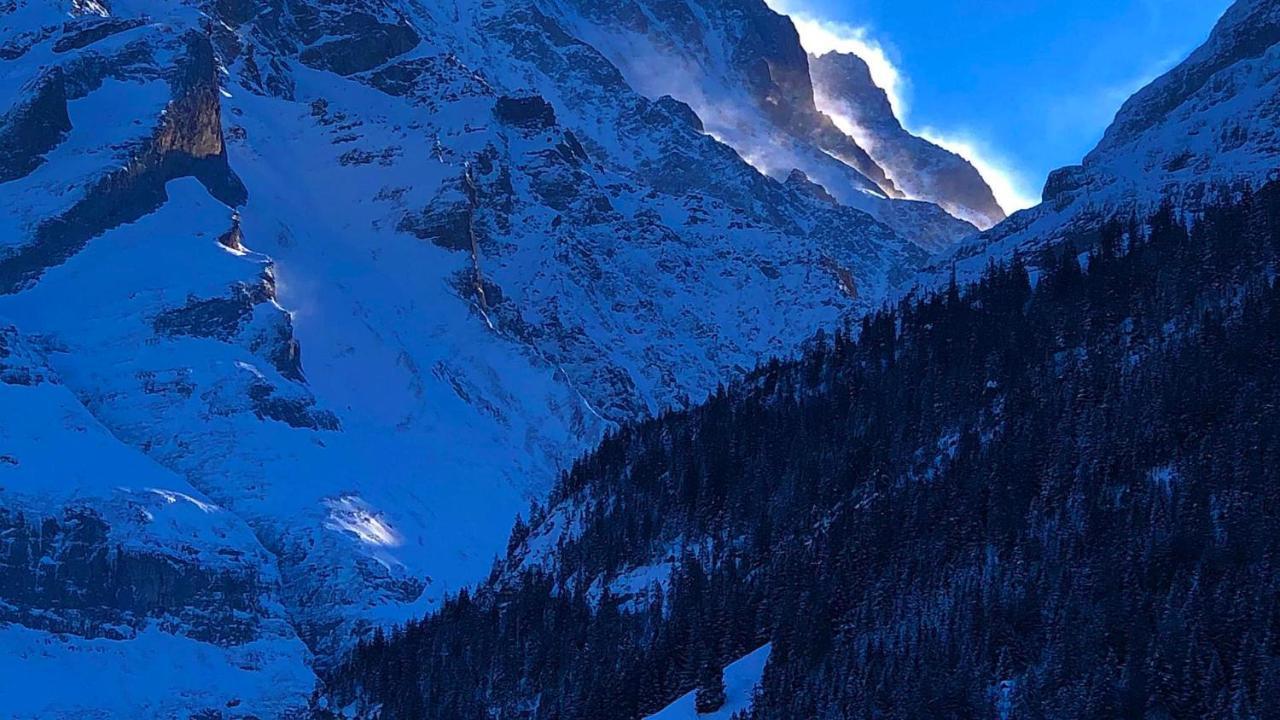 Romantisches Plaetzchen In Der Natur Grindelwald Eksteriør bilde