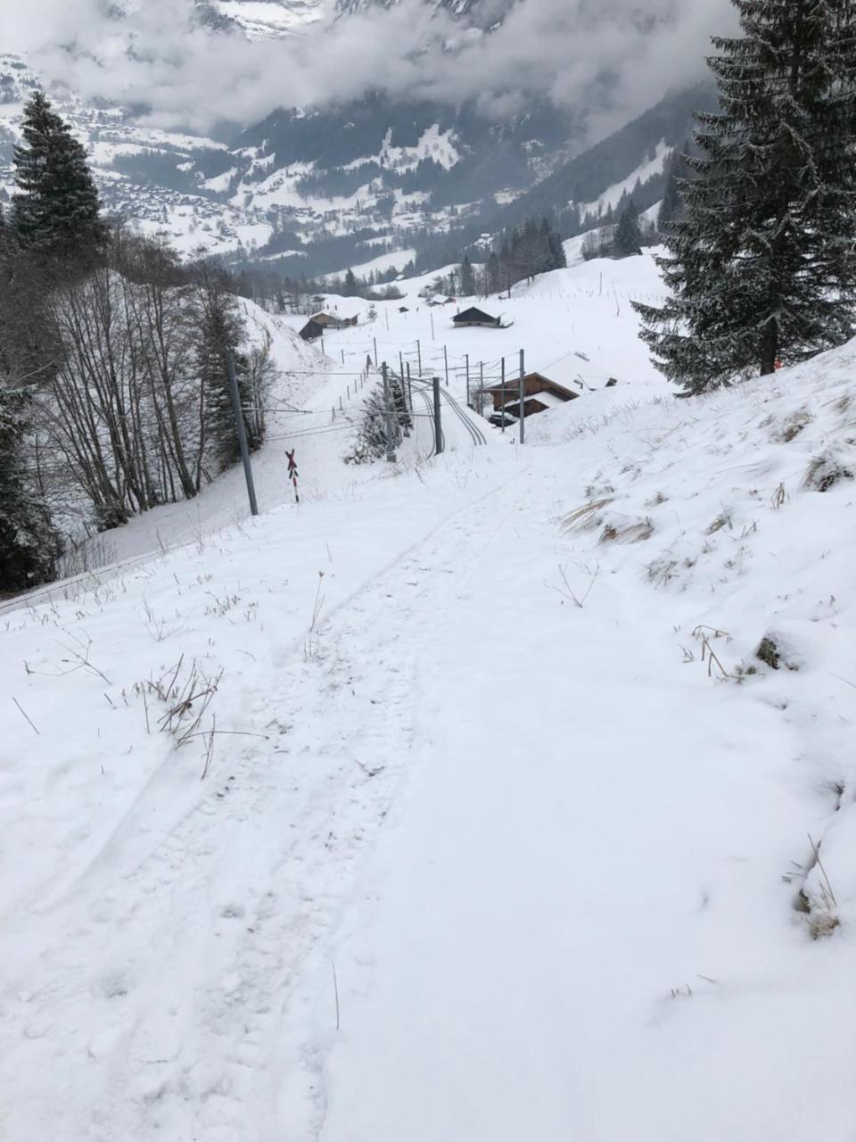 Romantisches Plaetzchen In Der Natur Grindelwald Eksteriør bilde