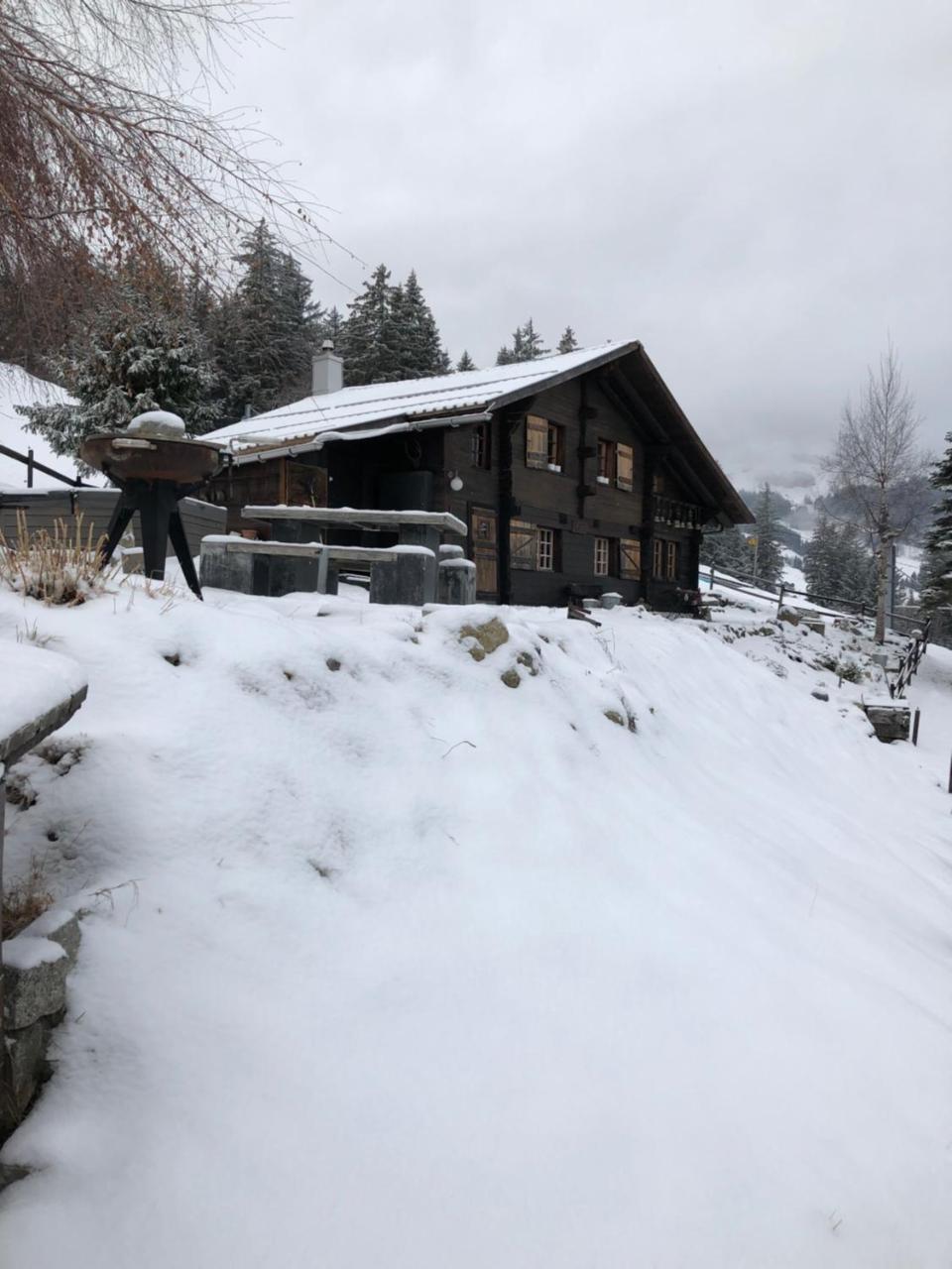 Romantisches Plaetzchen In Der Natur Grindelwald Eksteriør bilde