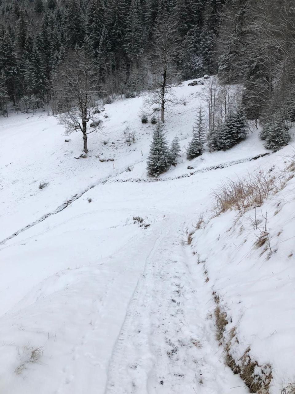 Romantisches Plaetzchen In Der Natur Grindelwald Eksteriør bilde