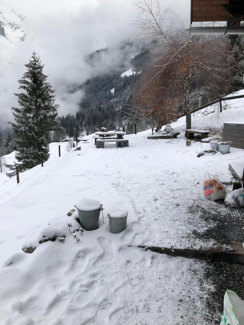 Romantisches Plaetzchen In Der Natur Grindelwald Eksteriør bilde