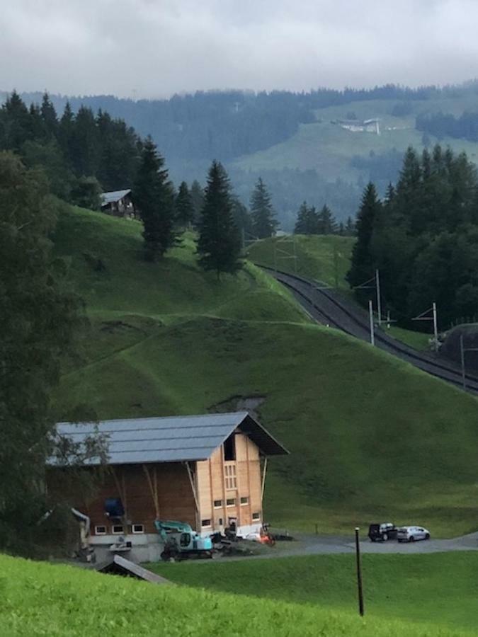 Romantisches Plaetzchen In Der Natur Grindelwald Eksteriør bilde